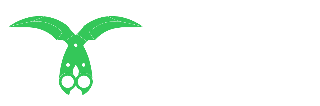 CS2FLOAT Logo